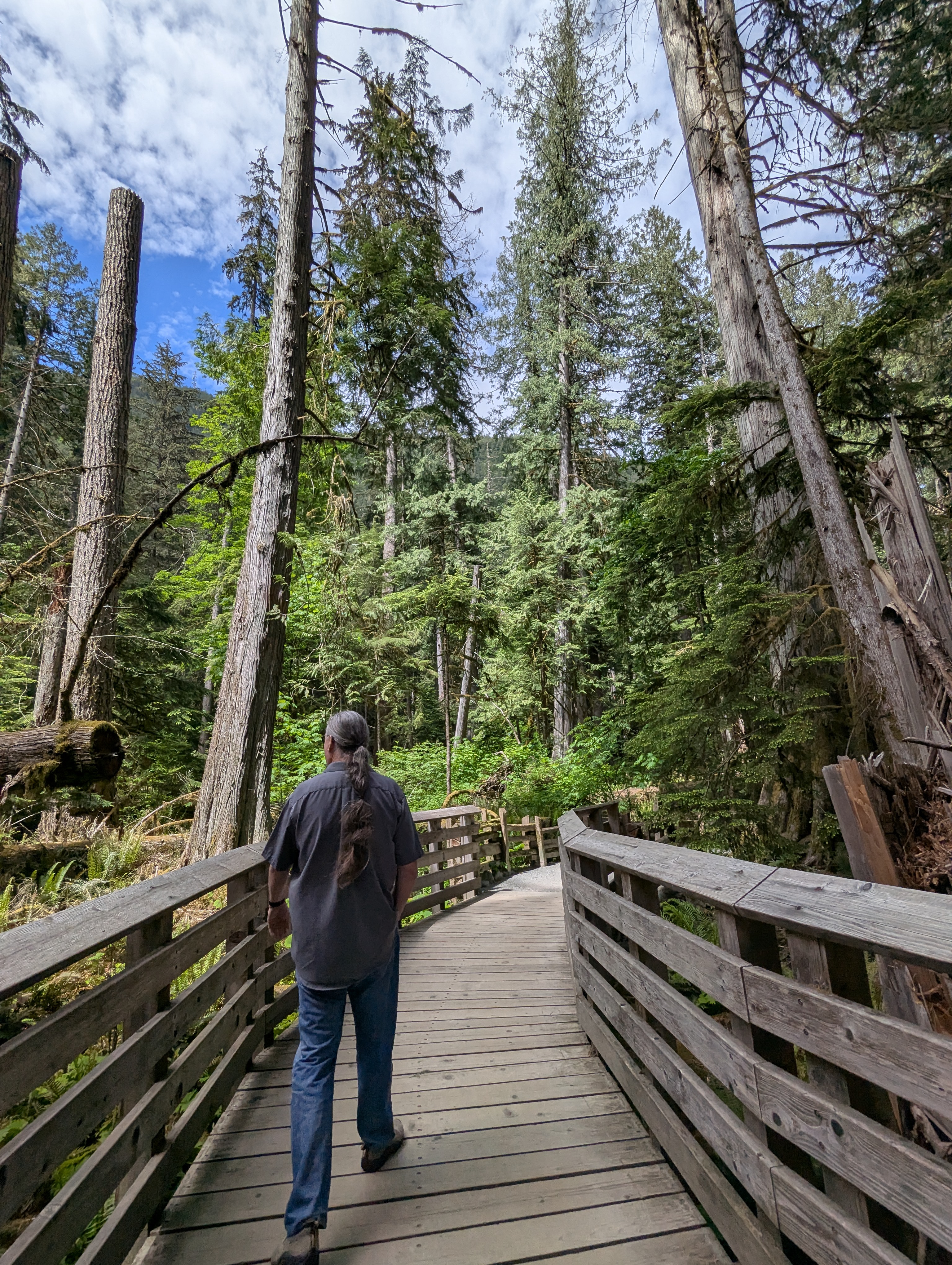 Birthday Trip to Canada, Cathedral Grove, Vancouver Island